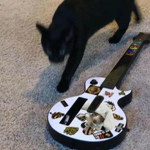 免费看黄 🈲️片
