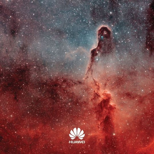 免费看黄 🈲️片
